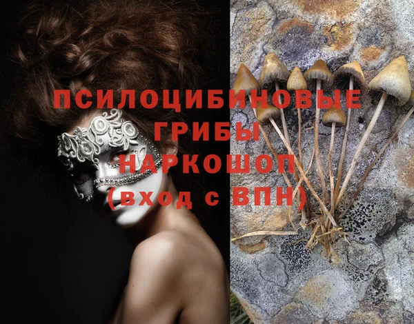 гидра Верхний Тагил