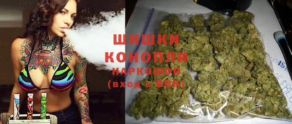 гидра Верхний Тагил