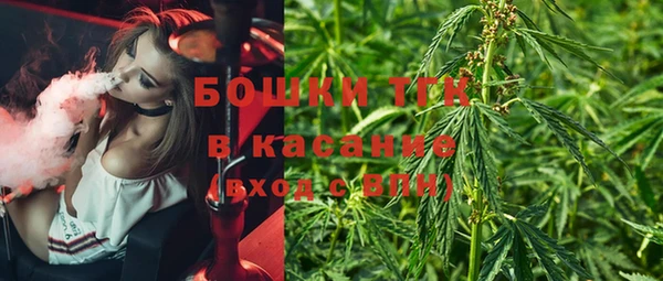 гидра Верхний Тагил