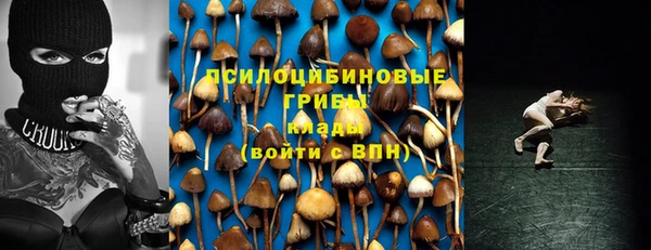 гидра Верхний Тагил