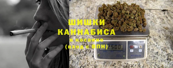 гидра Верхний Тагил