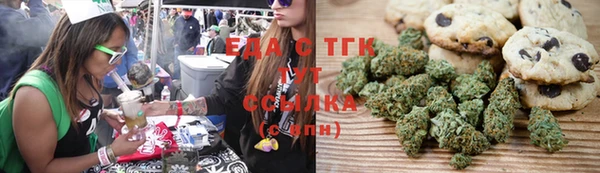 гидра Верхний Тагил